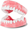 پروتز